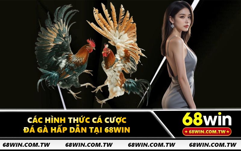 Các hình thức cá cược đá gà hấp dẫn tại 68WIN