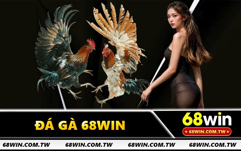 Đá Gà 68WIN
