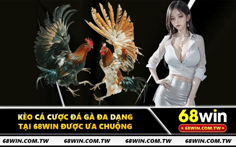 Kèo cá cược đá gà đa dạng tại 68WIN được ưa chuộng